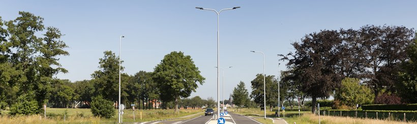 a road with trees and street lights